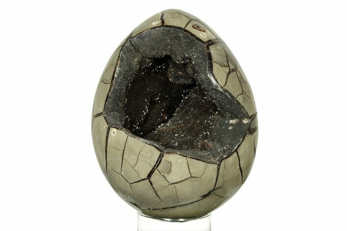 Septarian Dragon Egg Geode - Black Crystals #267288